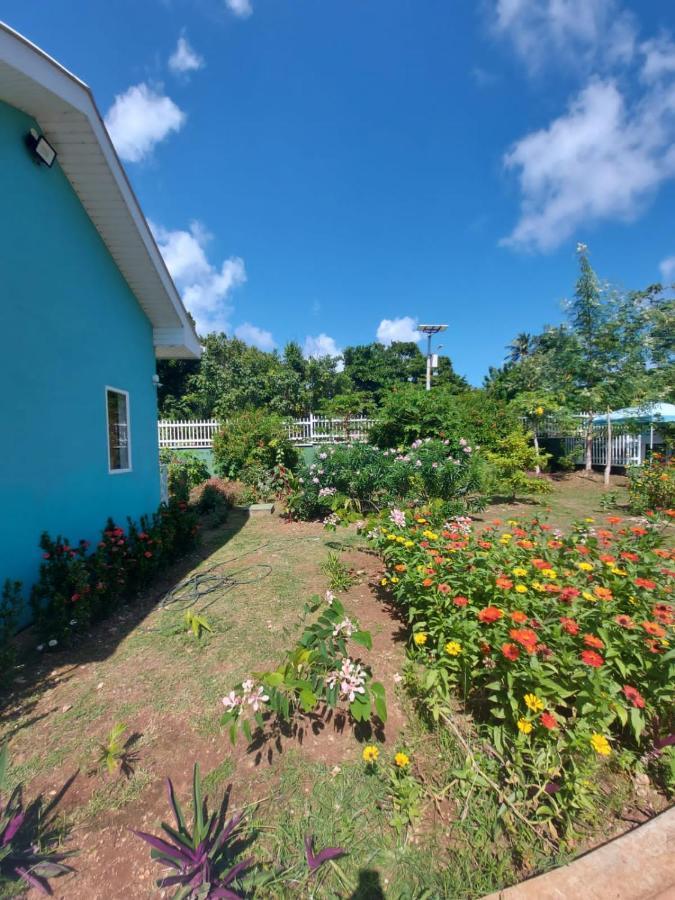 Villa Blue Lizard House San Andrés Exterior foto